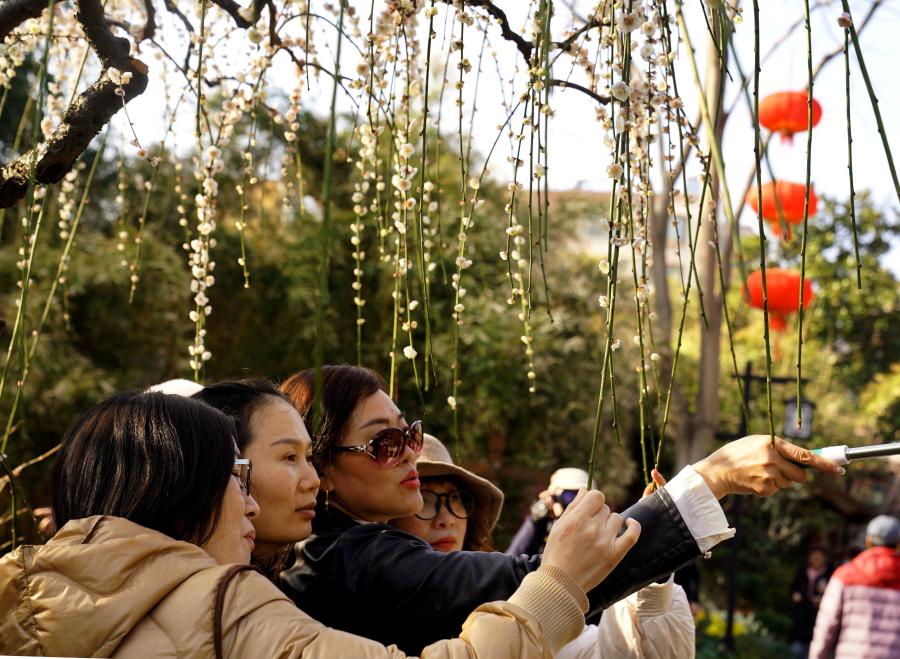 上海：新春遊園 喜上“梅”梢